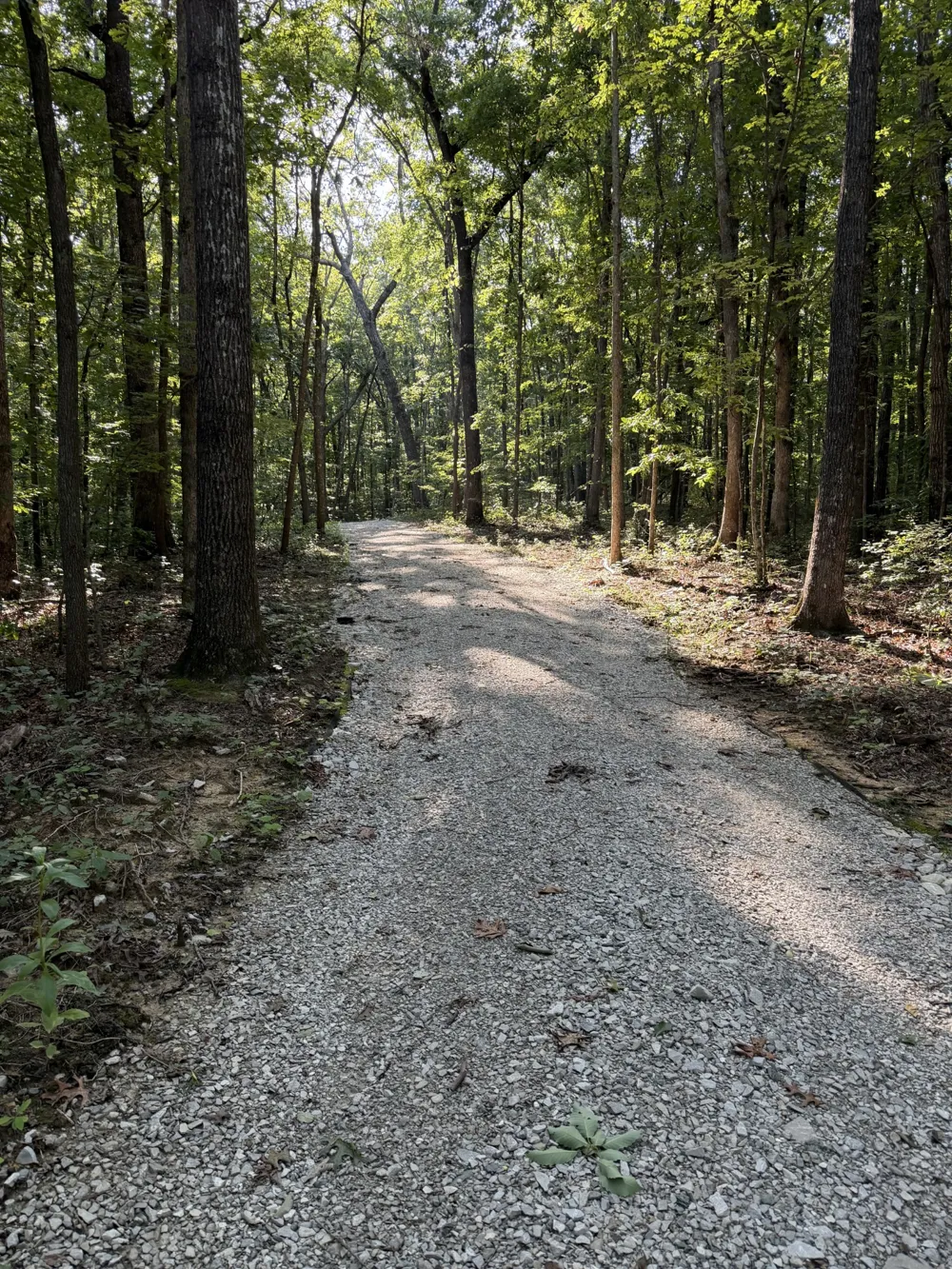 0 Laurel Lake Dr Monteagle, TN 37356