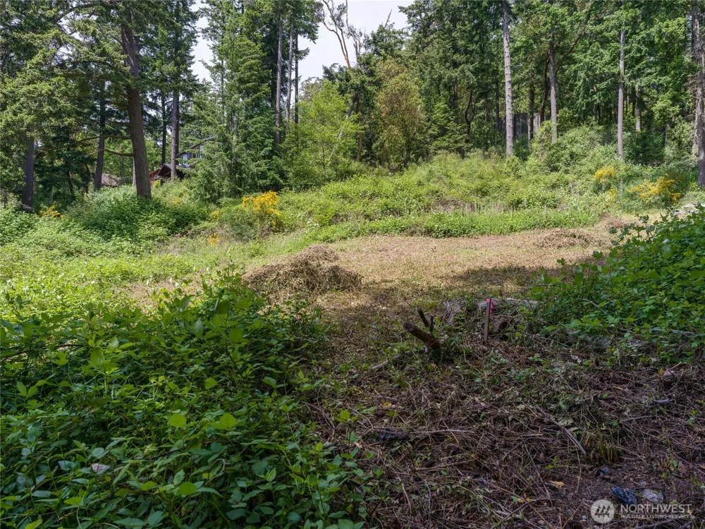 147 Geer Lane Orcas Island, WA 98245