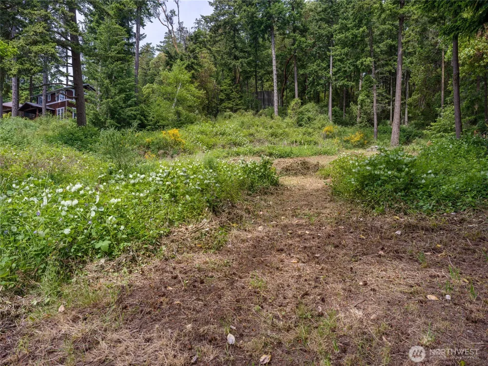 147 Geer Lane Orcas Island, WA 98245