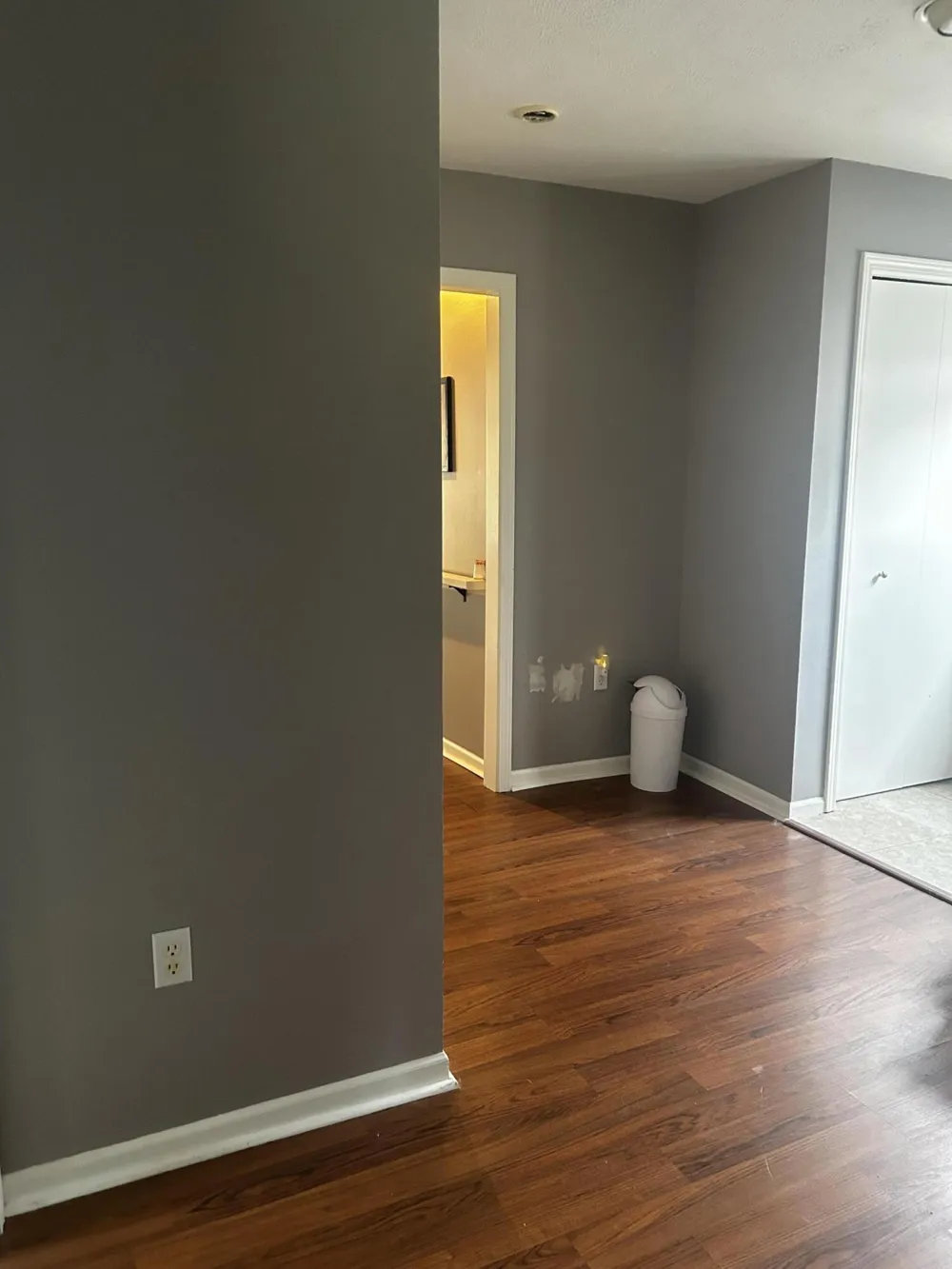 13636 S Mason Drive Ashland Township, MI 49327