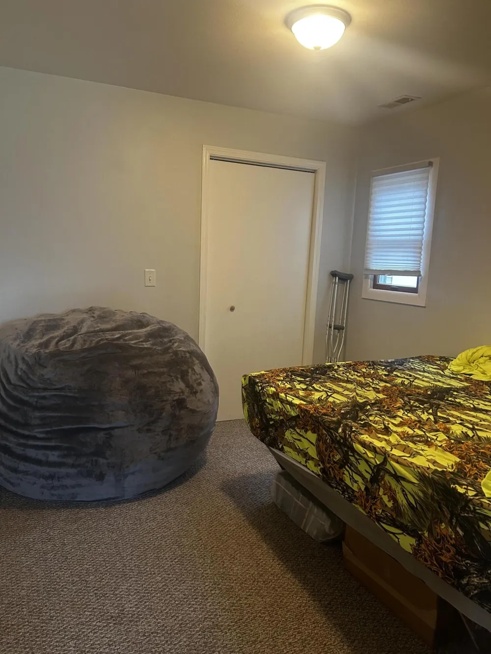 13636 S Mason Drive Ashland Township, MI 49327