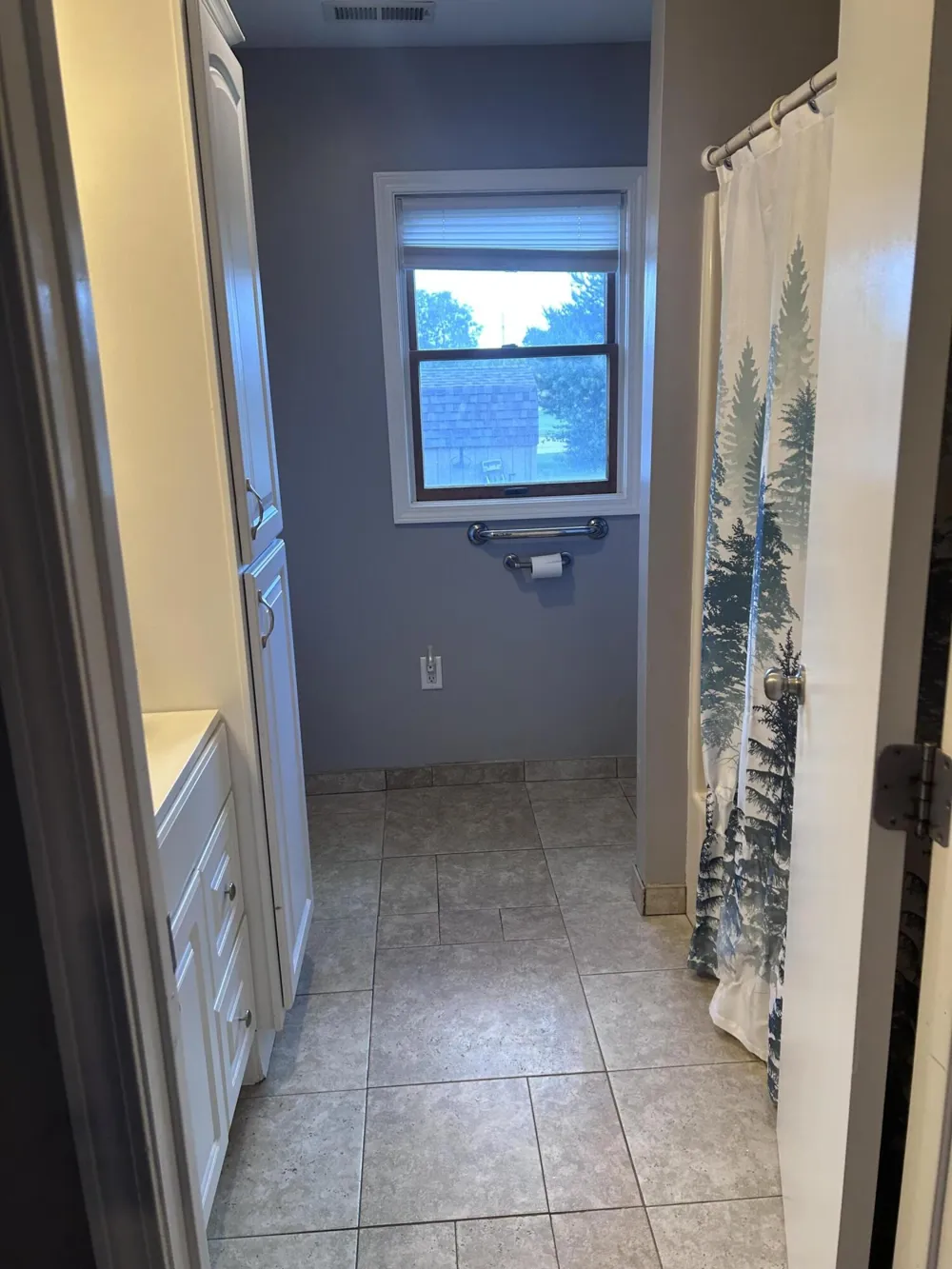 13636 S Mason Drive Ashland Township, MI 49327