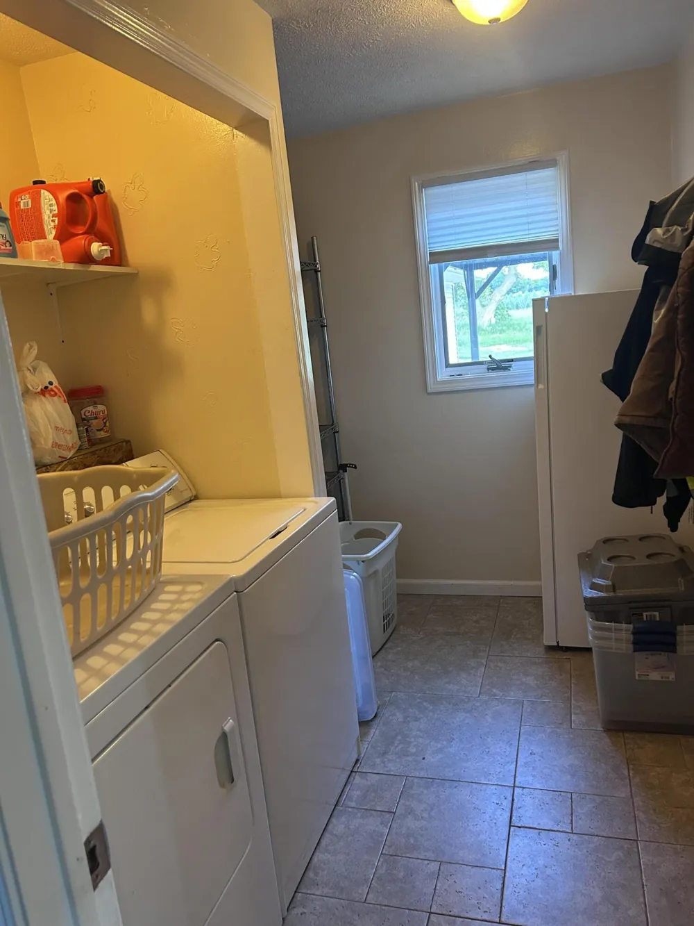 13636 S Mason Drive Ashland Township, MI 49327