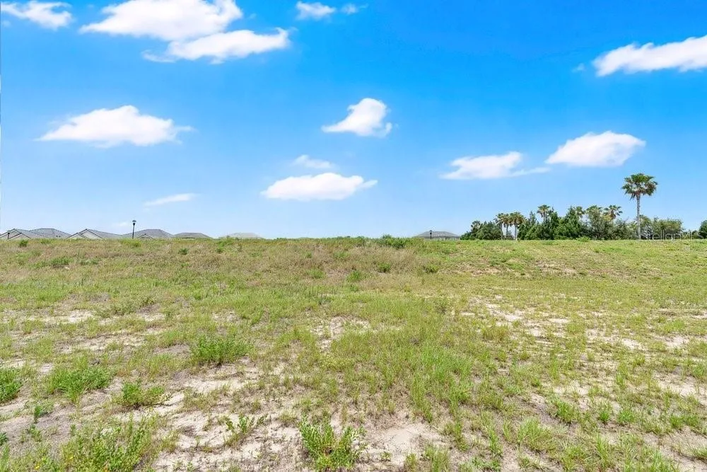 4265 JULIANA LAKE DRIVE Auburndale, FL 33823