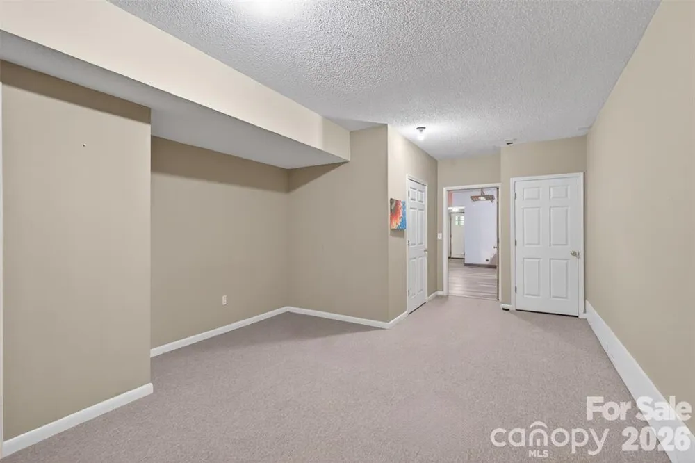 66 Misery Ridge Trail Mill Spring, NC 28756