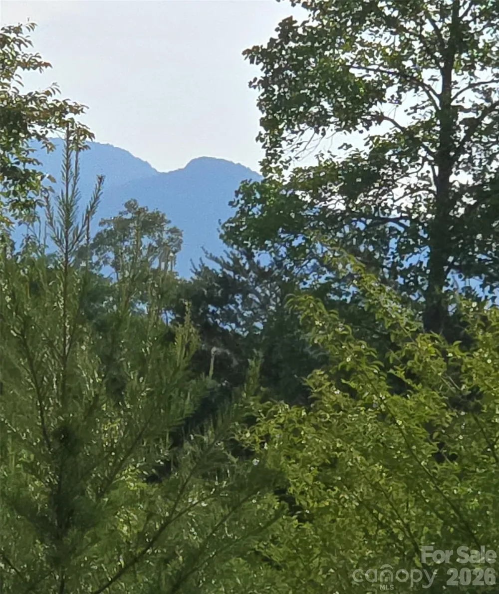 66 Misery Ridge Trail Mill Spring, NC 28756