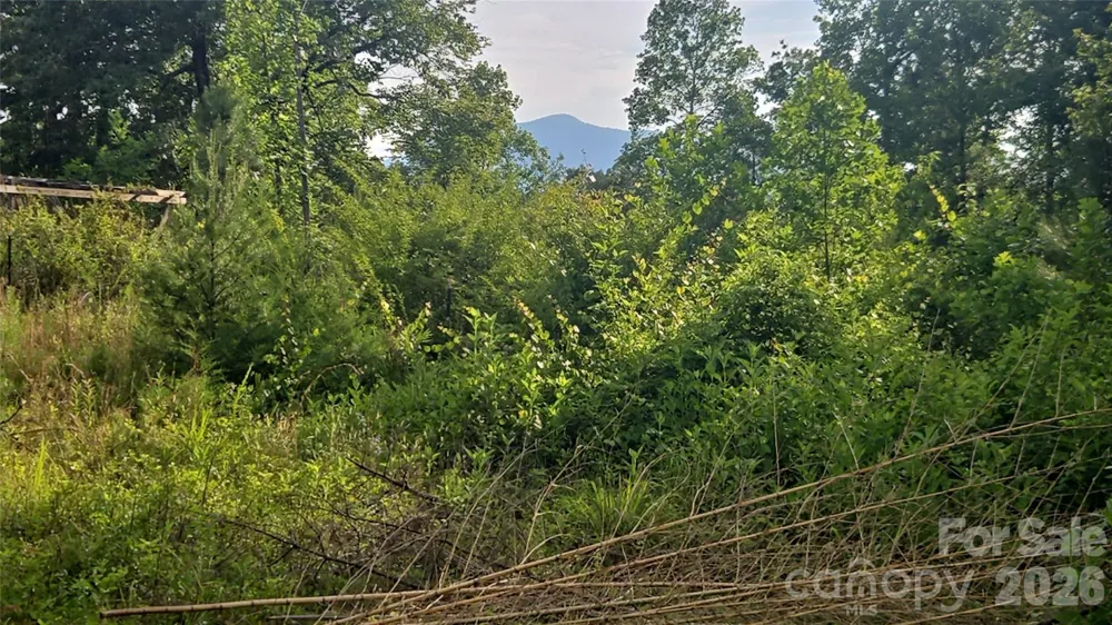 66 Misery Ridge Trail Mill Spring, NC 28756