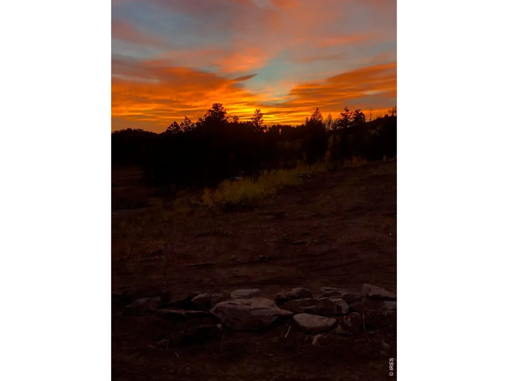 892 Stratton Park Road Bellvue, CO 80512