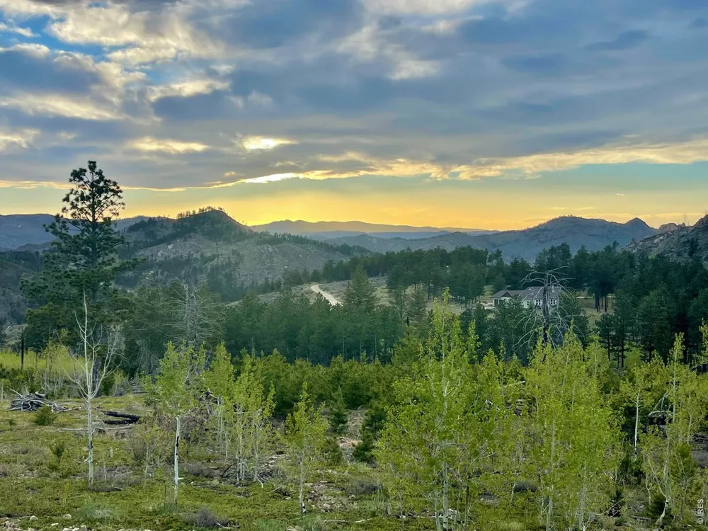 892 Stratton Park Road Bellvue, CO 80512