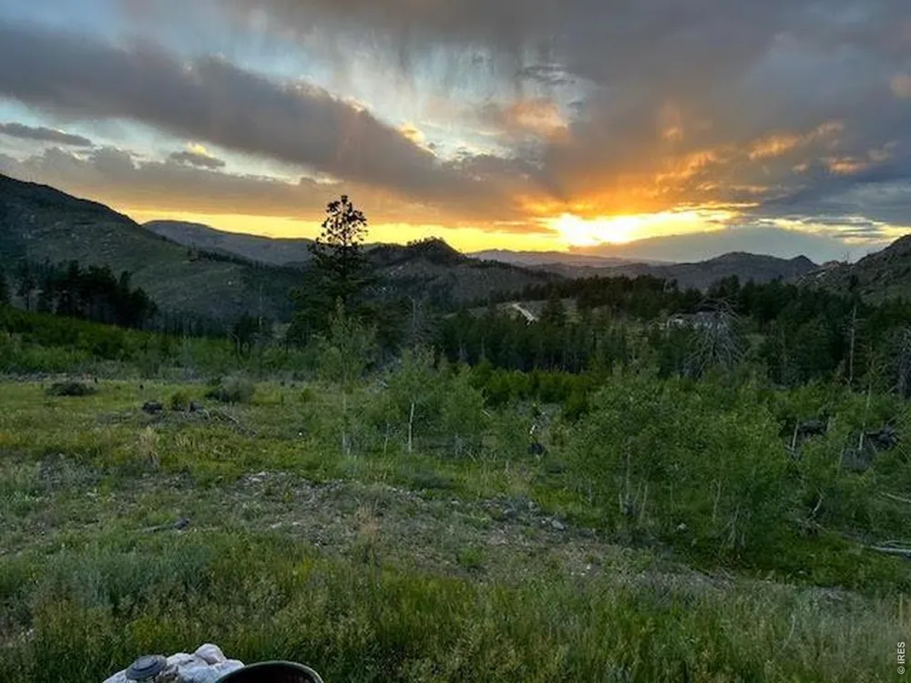 892 Stratton Park Road Bellvue, CO 80512