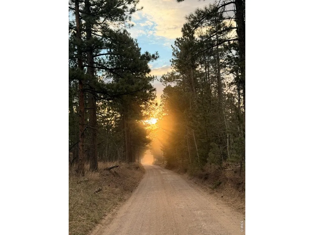 892 Stratton Park Road Bellvue, CO 80512