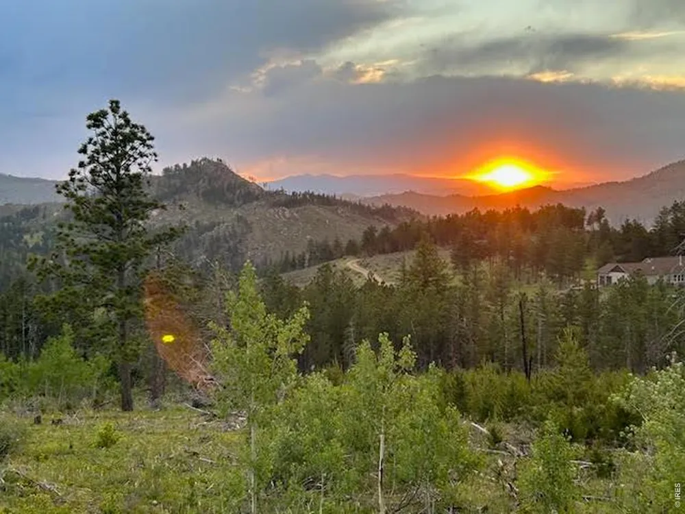 892 Stratton Park Road Bellvue, CO 80512