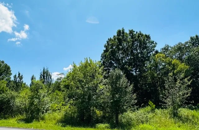 13877 Old Hickory Blvd Antioch, TN 37013