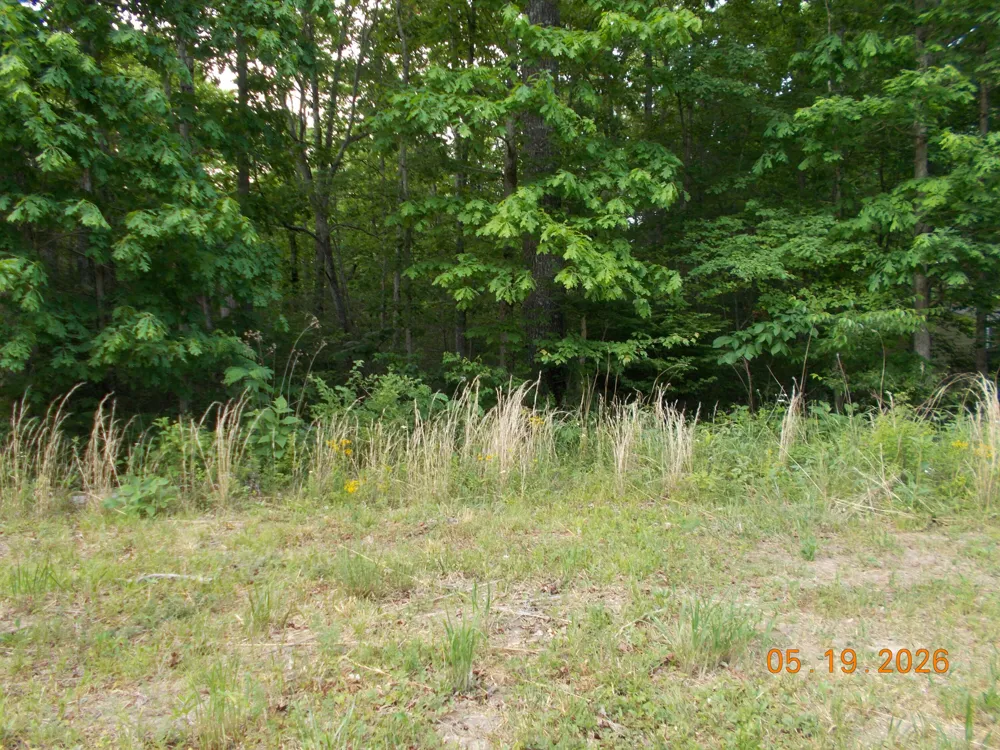 7141 Big Horn Drive Crossville, TN 38572