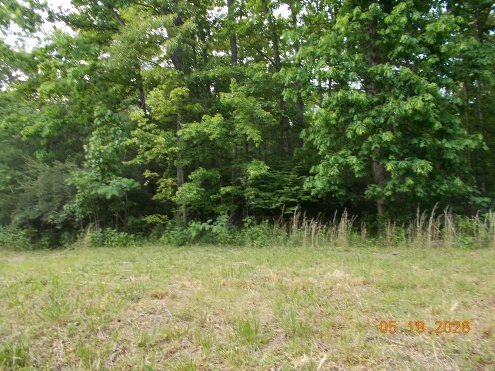 7141 Big Horn Drive Crossville, TN 38572