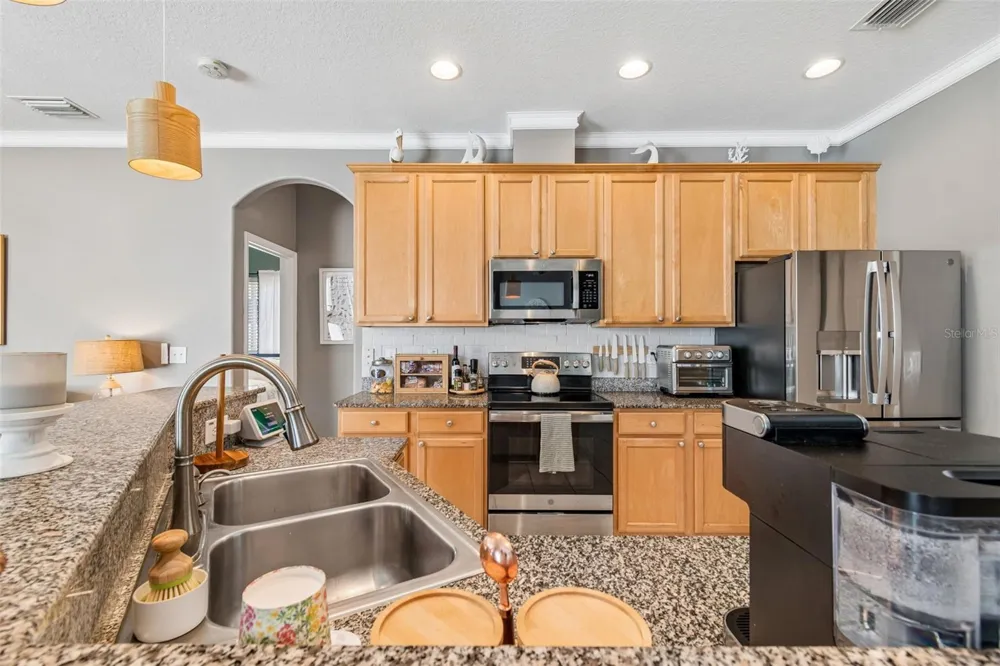 1616 REGAL MIST LOOP Trinity, FL 34655