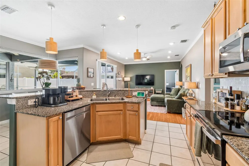 1616 REGAL MIST LOOP Trinity, FL 34655