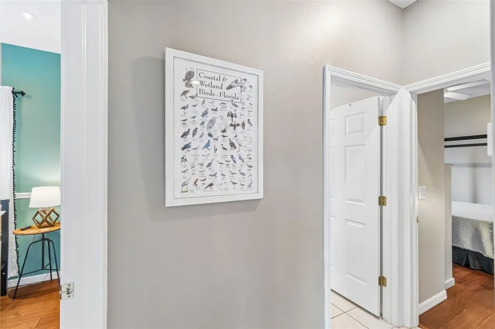 1616 REGAL MIST LOOP Trinity, FL 34655