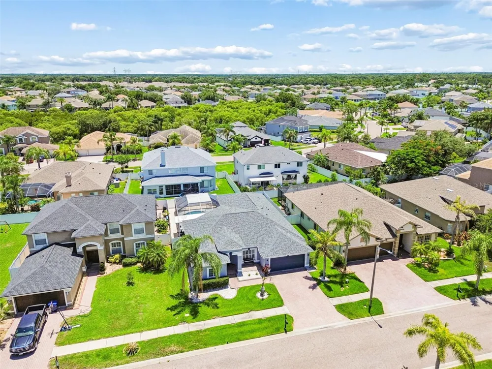 1616 REGAL MIST LOOP Trinity, FL 34655