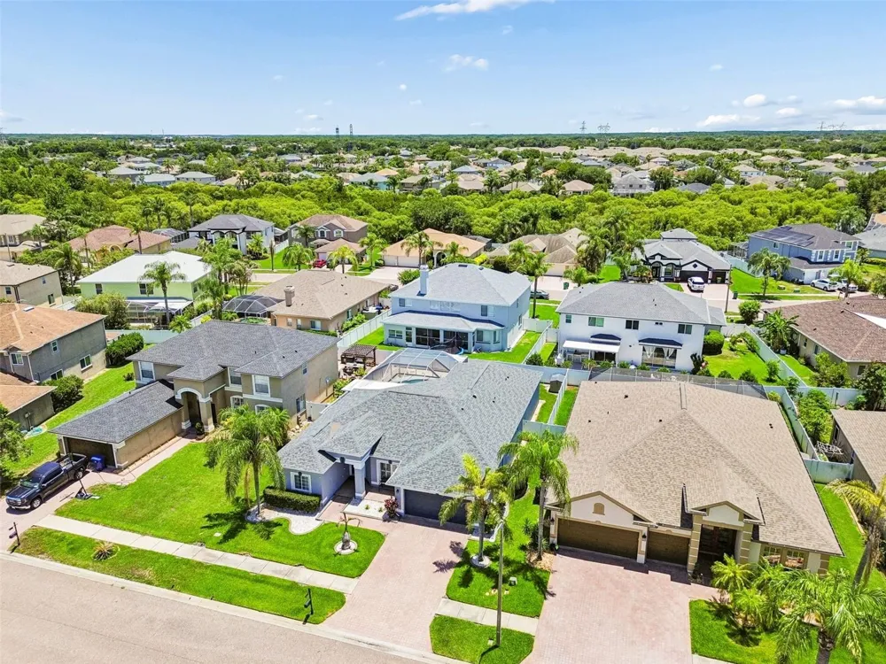 1616 REGAL MIST LOOP Trinity, FL 34655