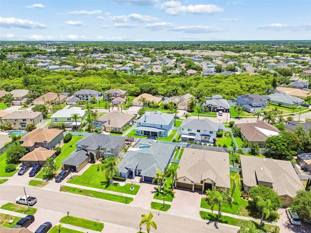 1616 REGAL MIST LOOP Trinity, FL 34655