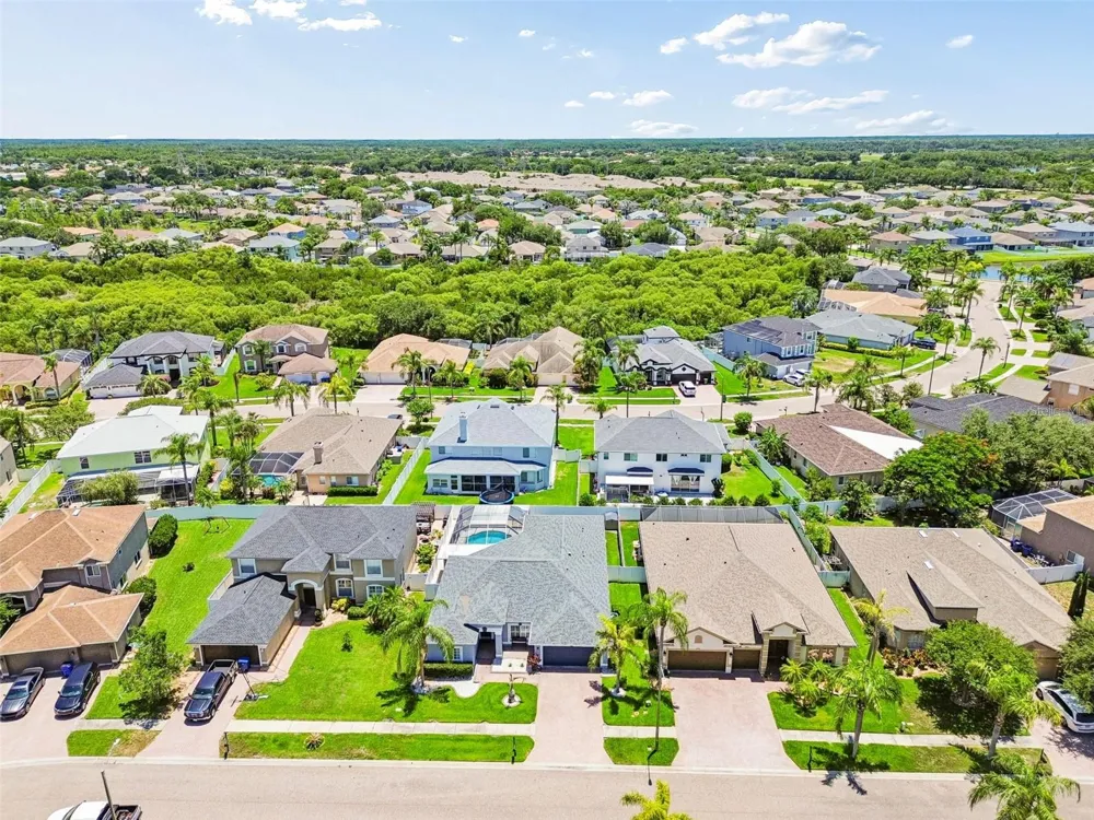 1616 REGAL MIST LOOP Trinity, FL 34655