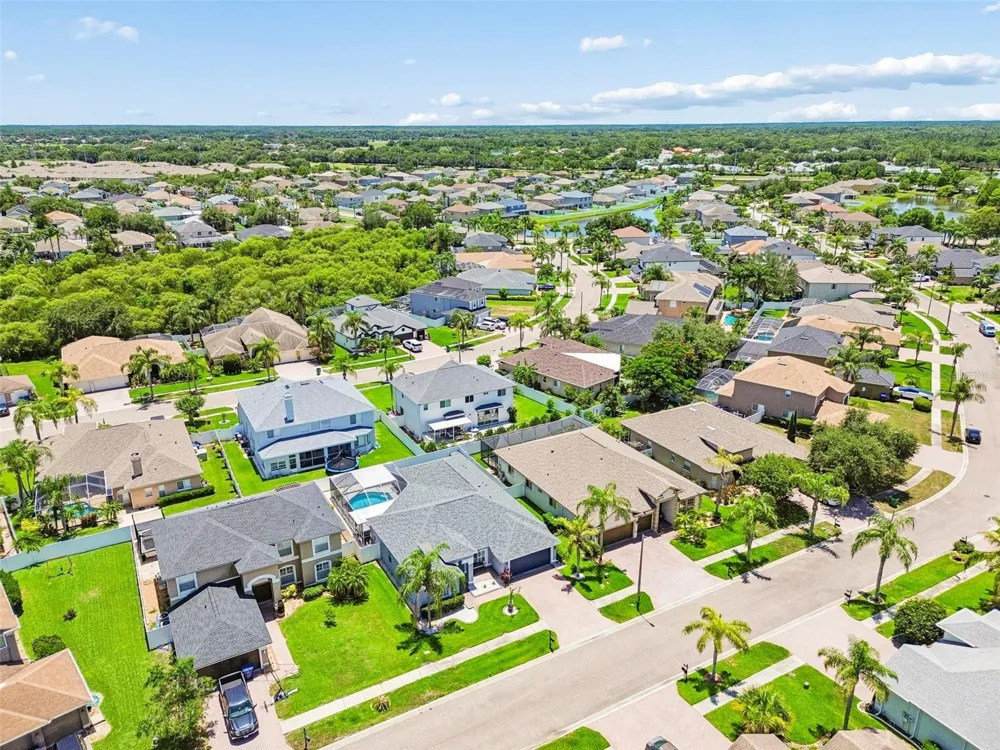 1616 REGAL MIST LOOP Trinity, FL 34655