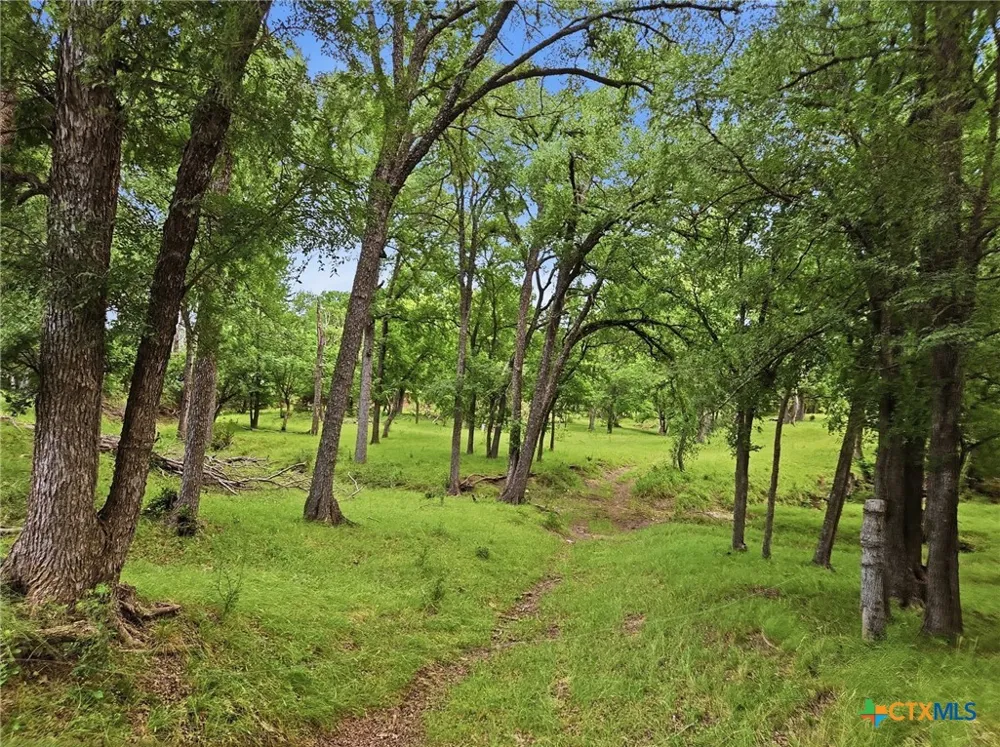 11126 E Fm 581 Lometa, TX 76853