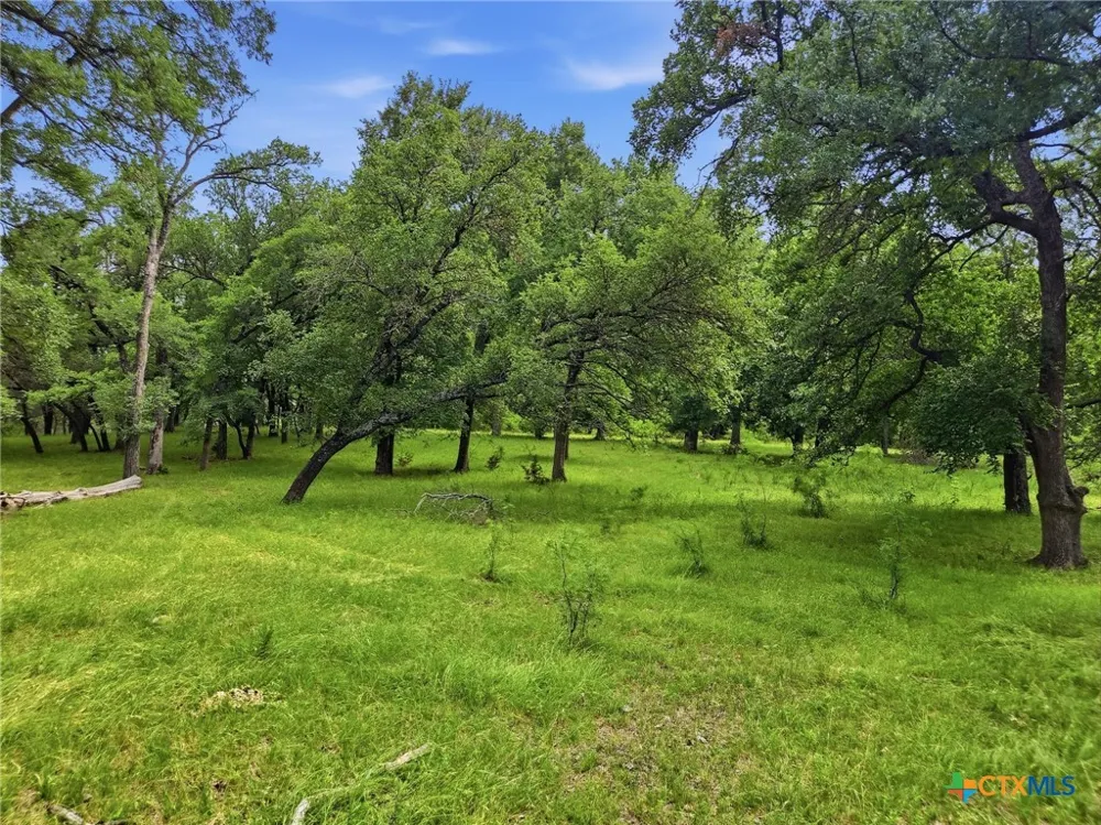 11126 E Fm 581 Lometa, TX 76853