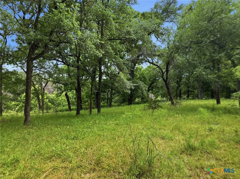 11126 E Fm 581 Lometa, TX 76853
