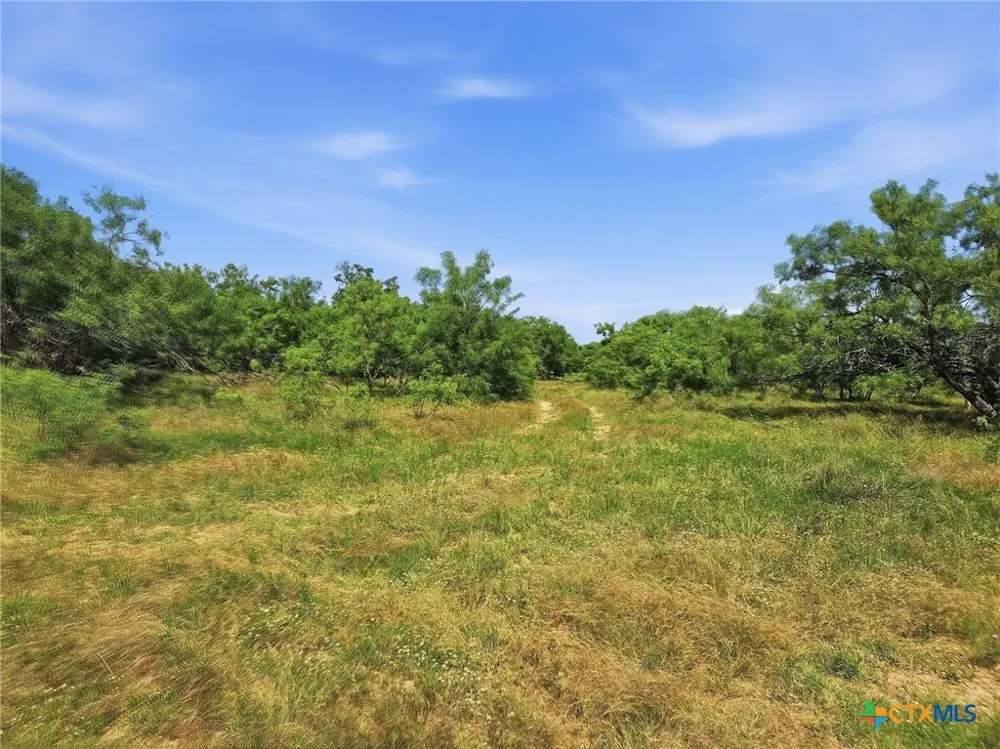 11126 E Fm 581 Lometa, TX 76853