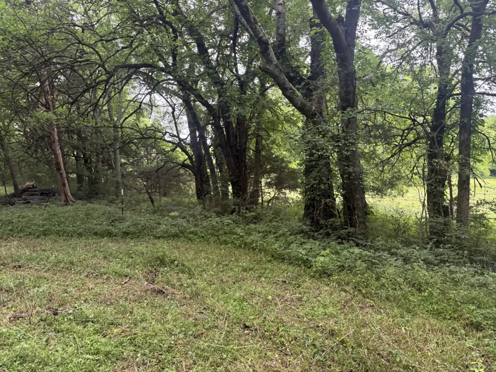 0 Hickerson Road Wartrace, TN 37183