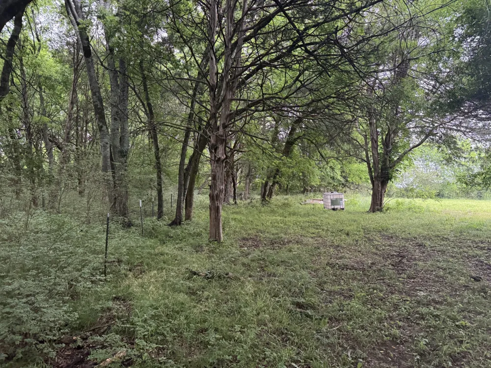 0 Hickerson Road Wartrace, TN 37183