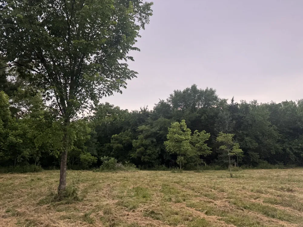 0 Hickerson Road Wartrace, TN 37183