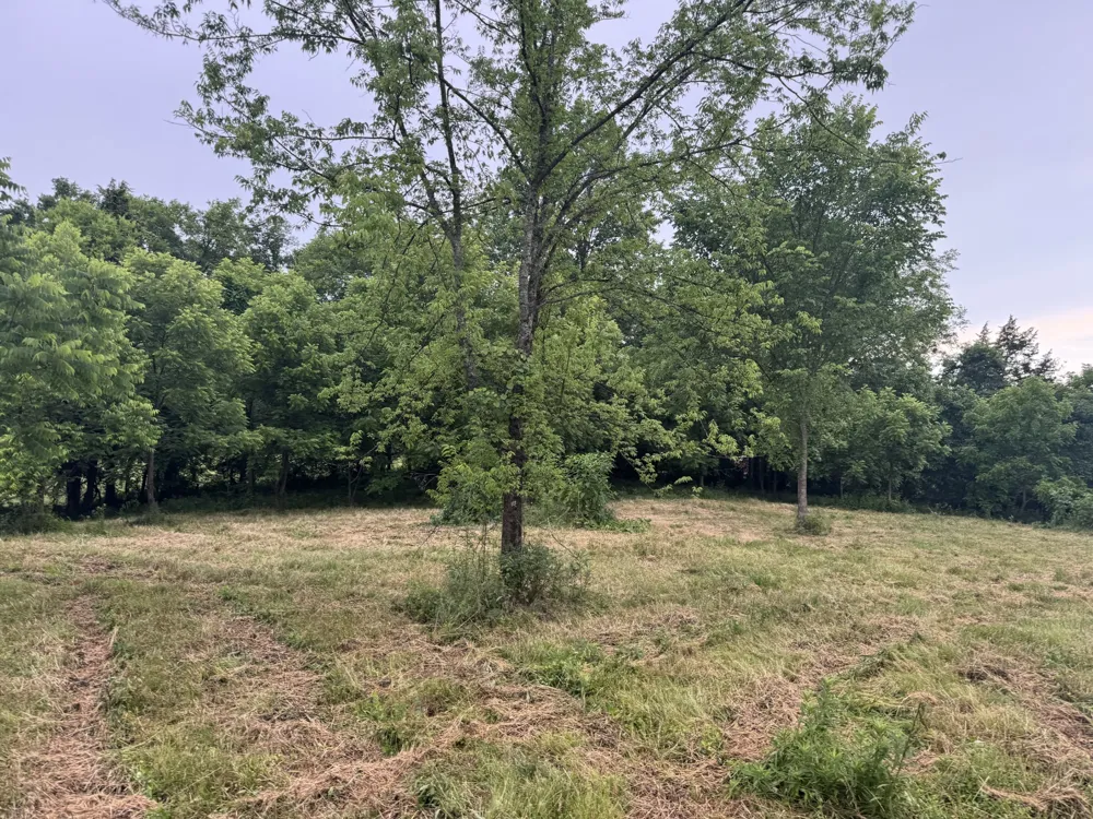 0 Hickerson Road Wartrace, TN 37183