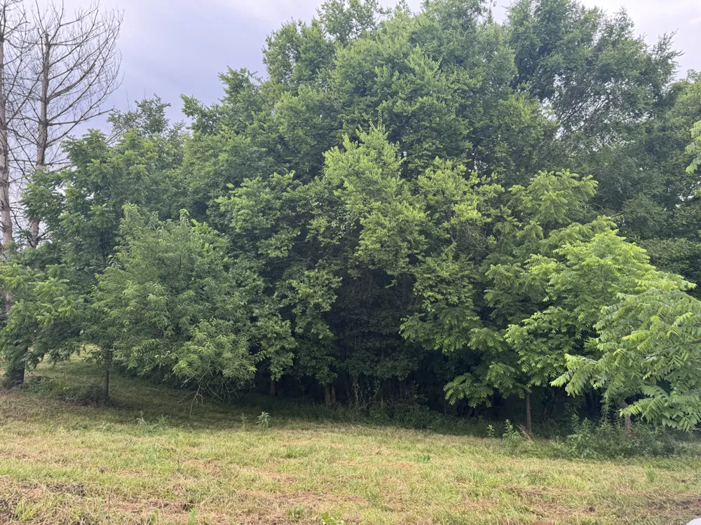 0 Hickerson Road Wartrace, TN 37183