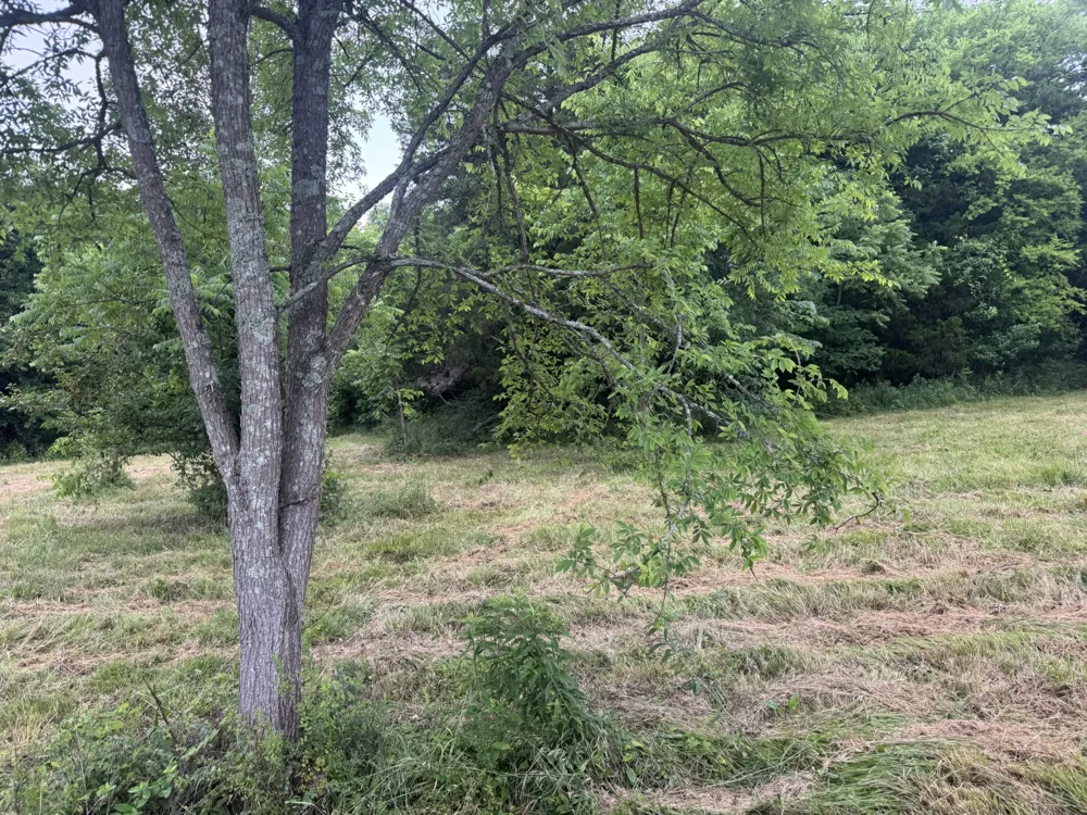0 Hickerson Road Wartrace, TN 37183