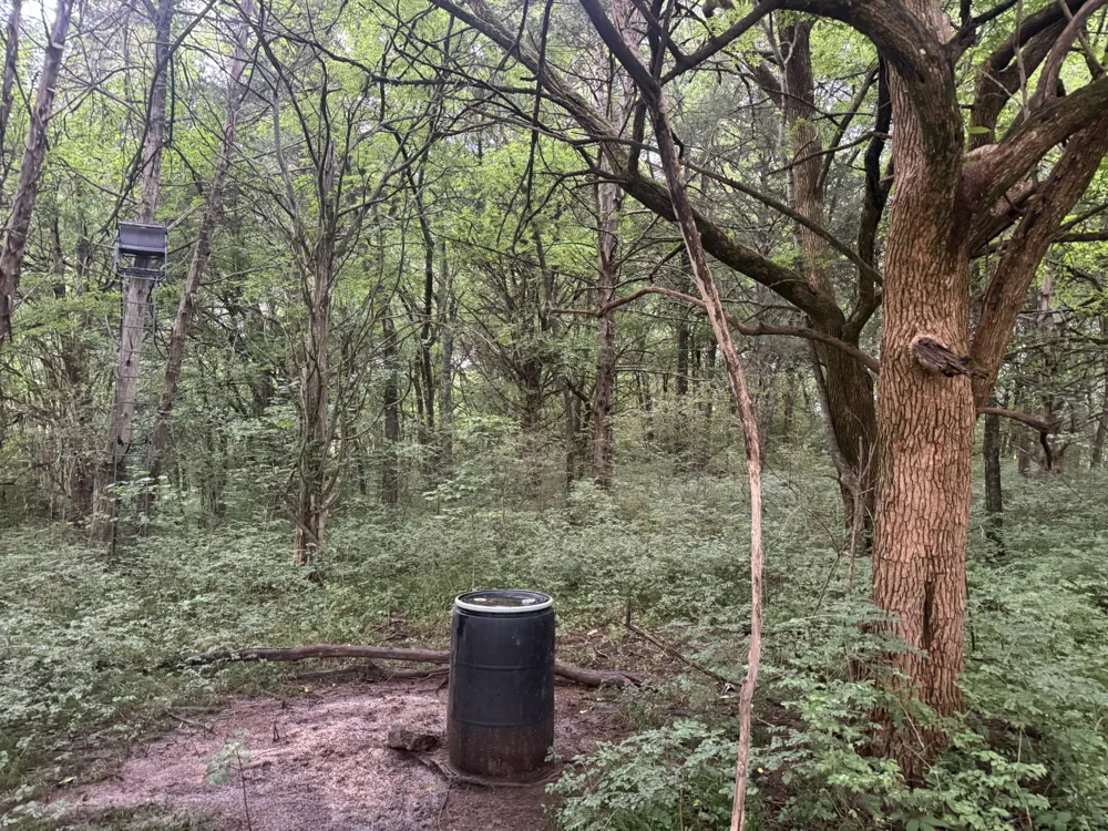 0 Hickerson Road Wartrace, TN 37183