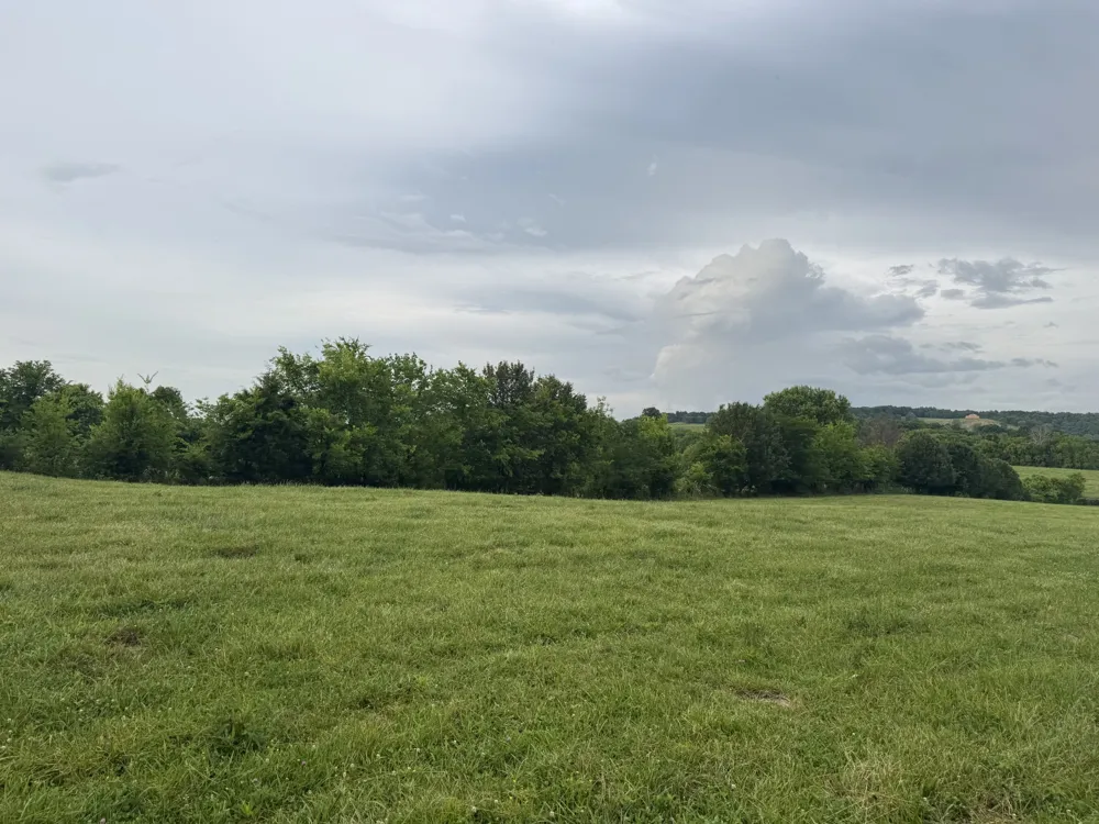 0 Hickerson Road Wartrace, TN 37183
