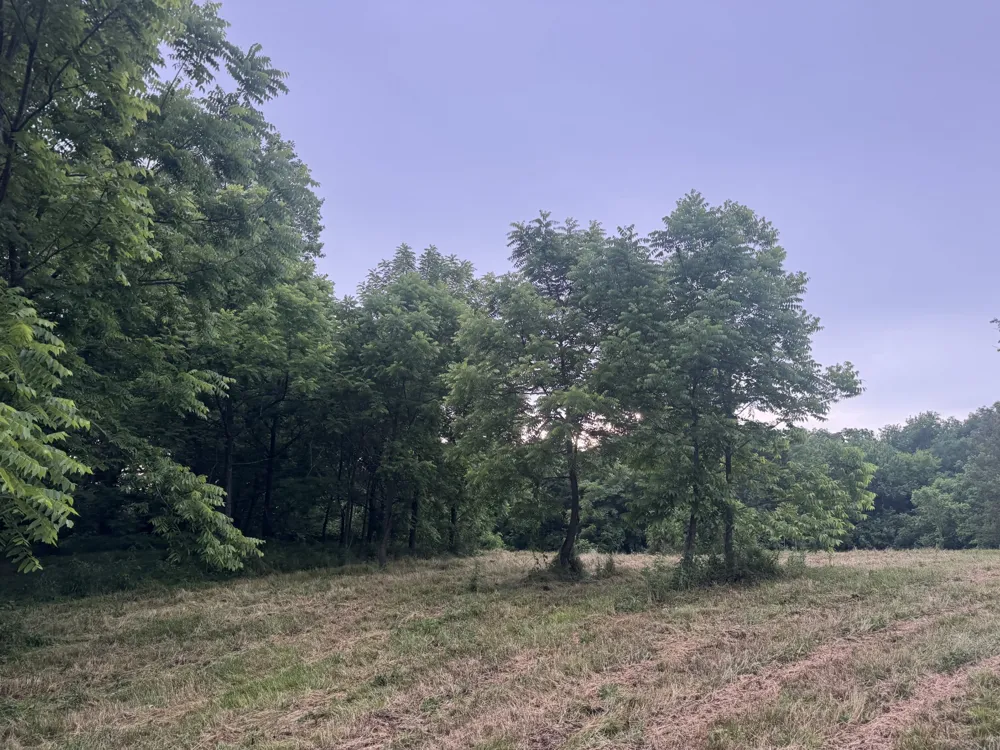 0 Hickerson Road Wartrace, TN 37183