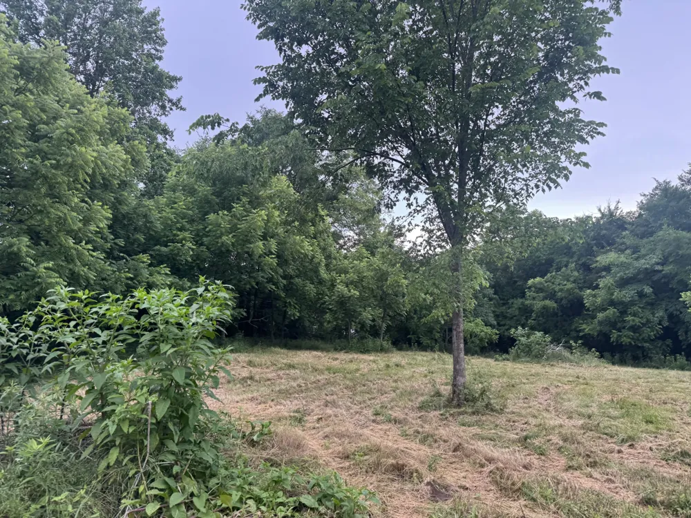 0 Hickerson Road Wartrace, TN 37183