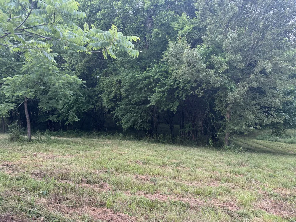 0 Hickerson Road Wartrace, TN 37183