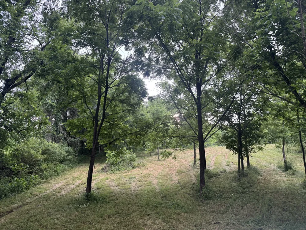 0 Hickerson Road Wartrace, TN 37183
