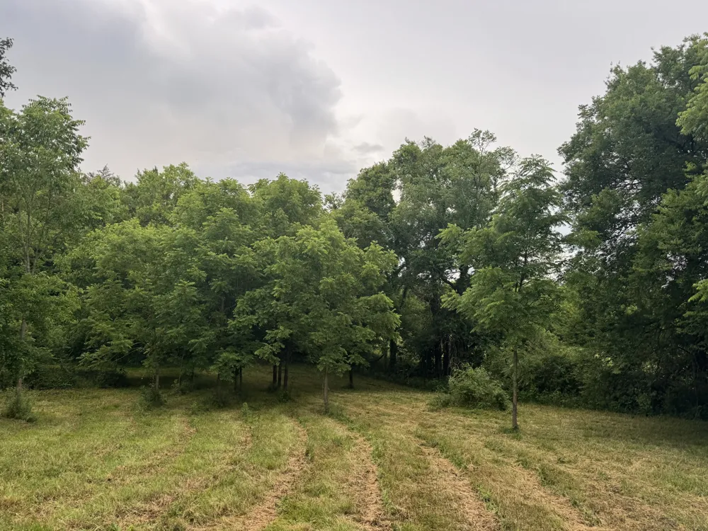 0 Hickerson Road Wartrace, TN 37183