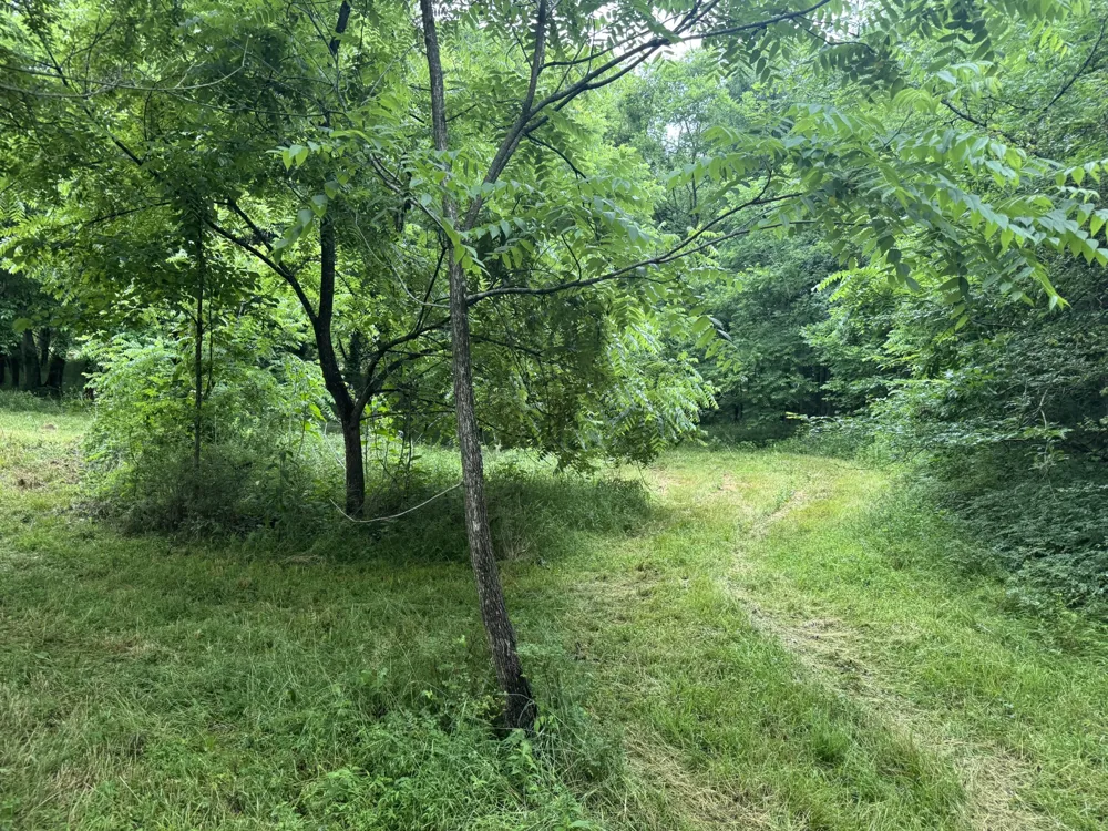 0 Hickerson Road Wartrace, TN 37183