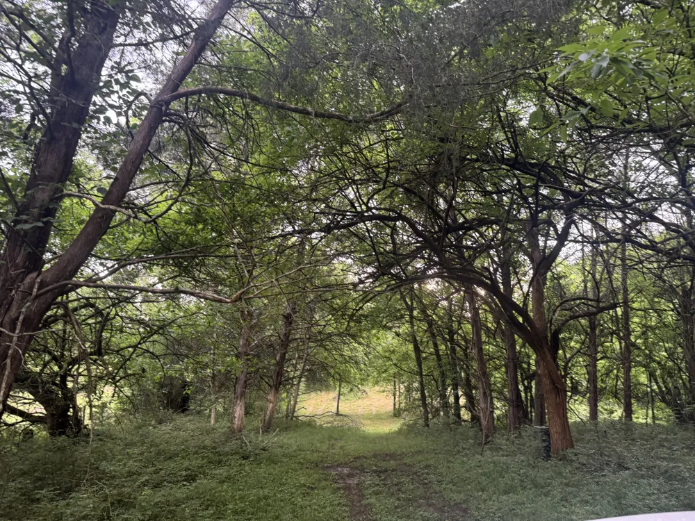 0 Hickerson Road Wartrace, TN 37183