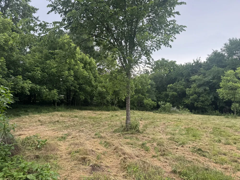 0 Hickerson Road Wartrace, TN 37183