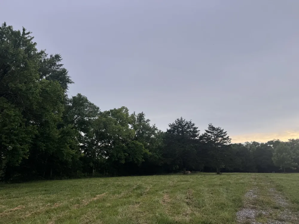 0 Hickerson Road Wartrace, TN 37183