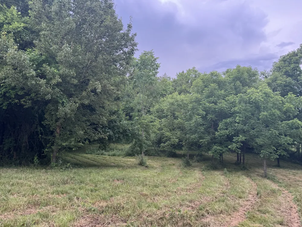 0 Hickerson Road Wartrace, TN 37183