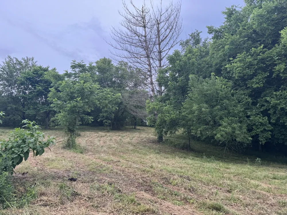 0 Hickerson Road Wartrace, TN 37183